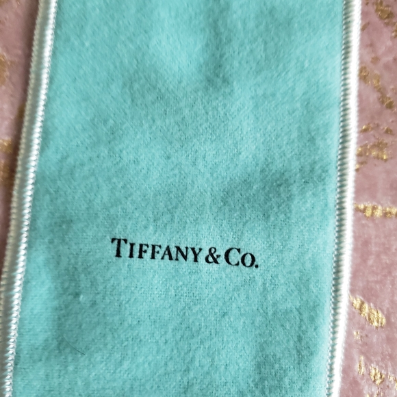 TIFFANY & CO. | Jewelry Pouch - Tall 11x3 - Picture 3 of 10